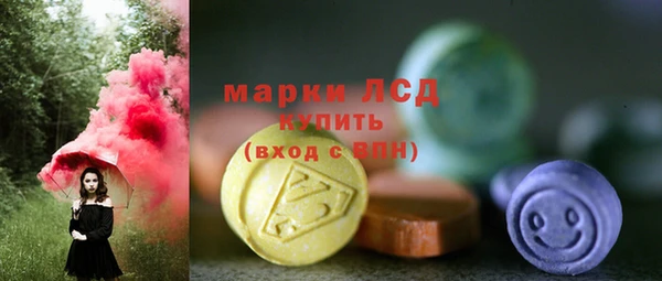 прущий лед Алзамай
