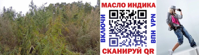 Дистиллят ТГК Wax  Сухиничи 